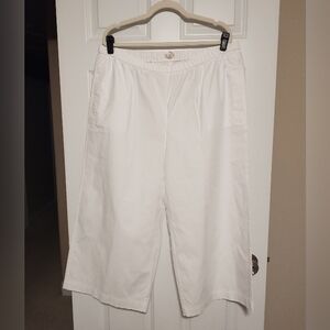 Eileen Fisher White Poplin Wide Leg Ankle Length Pants